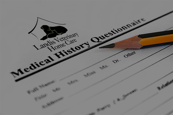 Our Client Form